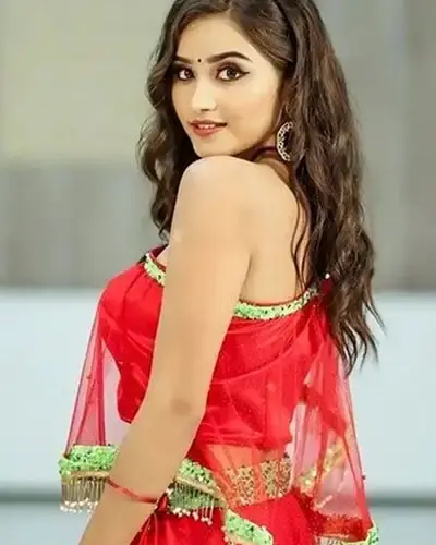 Escort In Shajapur